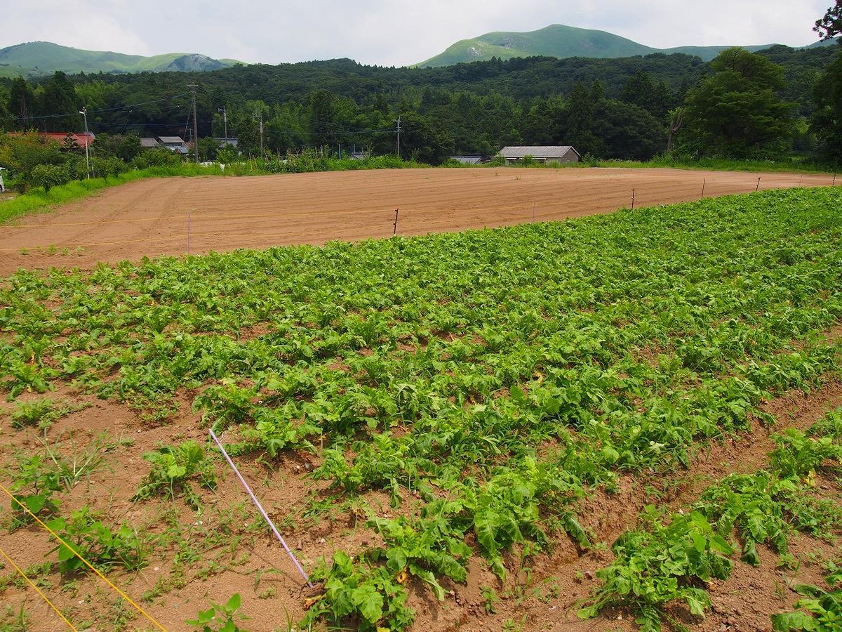 Yamano-Ie Hiraodai Kitakyushu Buitenkant foto