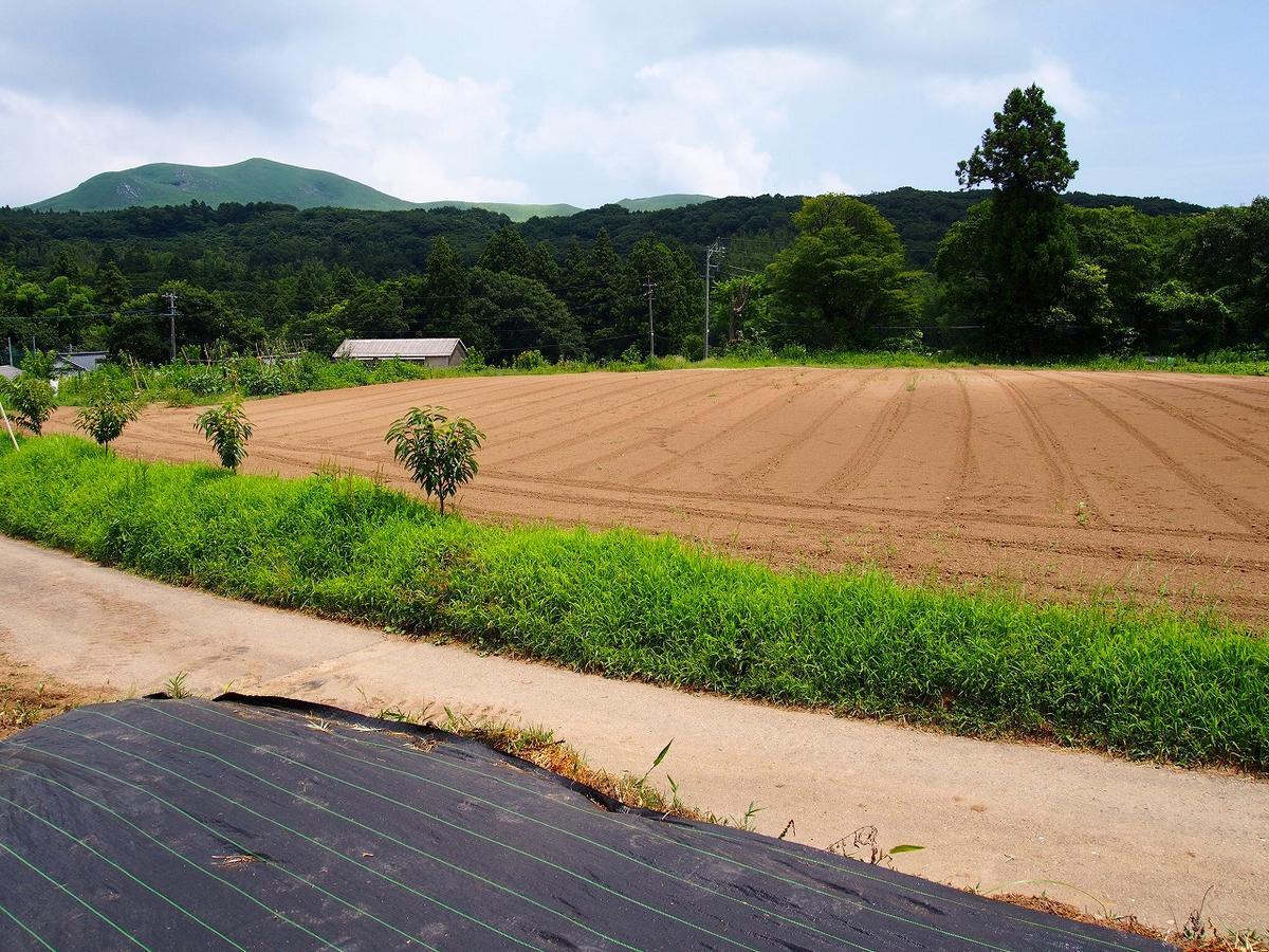 Yamano-Ie Hiraodai Kitakyushu Buitenkant foto